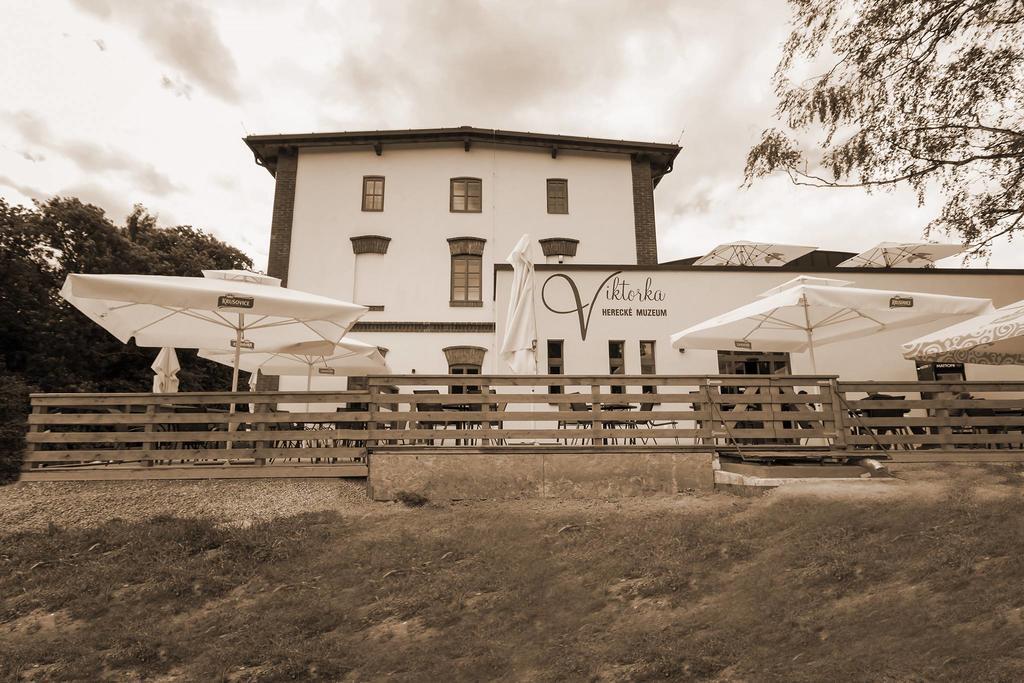 Wellness Hotel - Viktorka, Herecky Dum Česká Skalice 外观 照片
